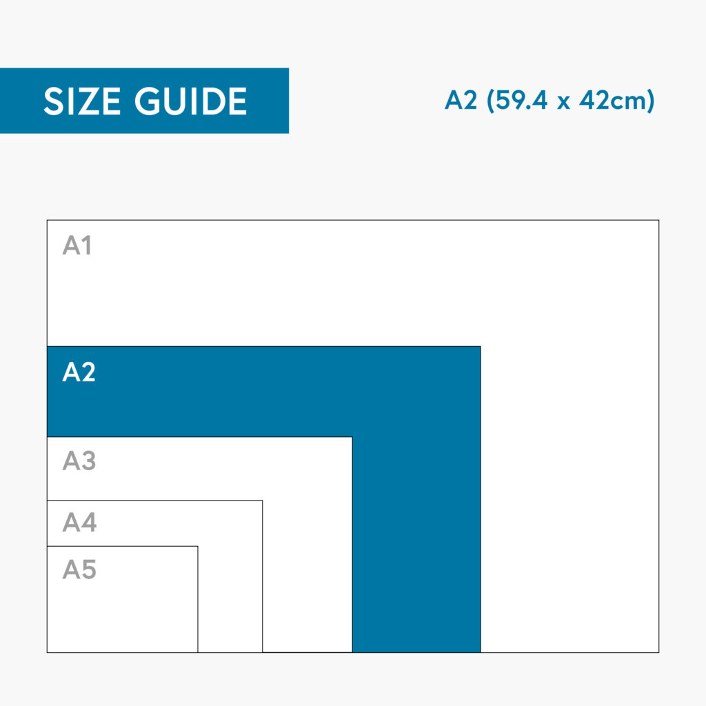 20242025 Financial Year Wall Planner A2 Laminated Rolled Clear Mind